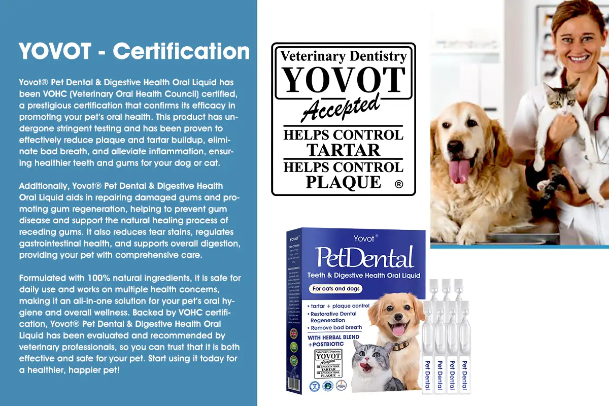 [Official Store]🇬🇧 Yovot® Pet Dental & Digestive Health Oral Liquid – Freshen Breath, Remove Tartar & Promote gum regeneration, stabilize teeth (for Cats & Dogs)  – Save 70% Today! - Image 10