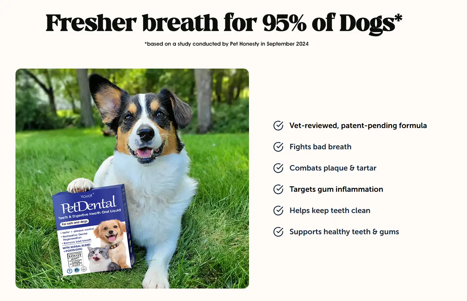 [Official Store]🇬🇧 Yovot® Pet Dental & Digestive Health Oral Liquid – Freshen Breath, Remove Tartar & Promote gum regeneration, stabilize teeth (for Cats & Dogs)  – Save 70% Today! - Image 11