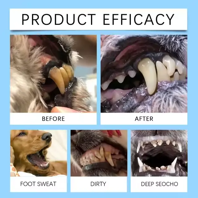 [Official Store]🇬🇧 Yovot® Pet Dental & Digestive Health Oral Liquid – Freshen Breath, Remove Tartar & Promote gum regeneration, stabilize teeth (for Cats & Dogs)  – Save 70% Today! - Image 2