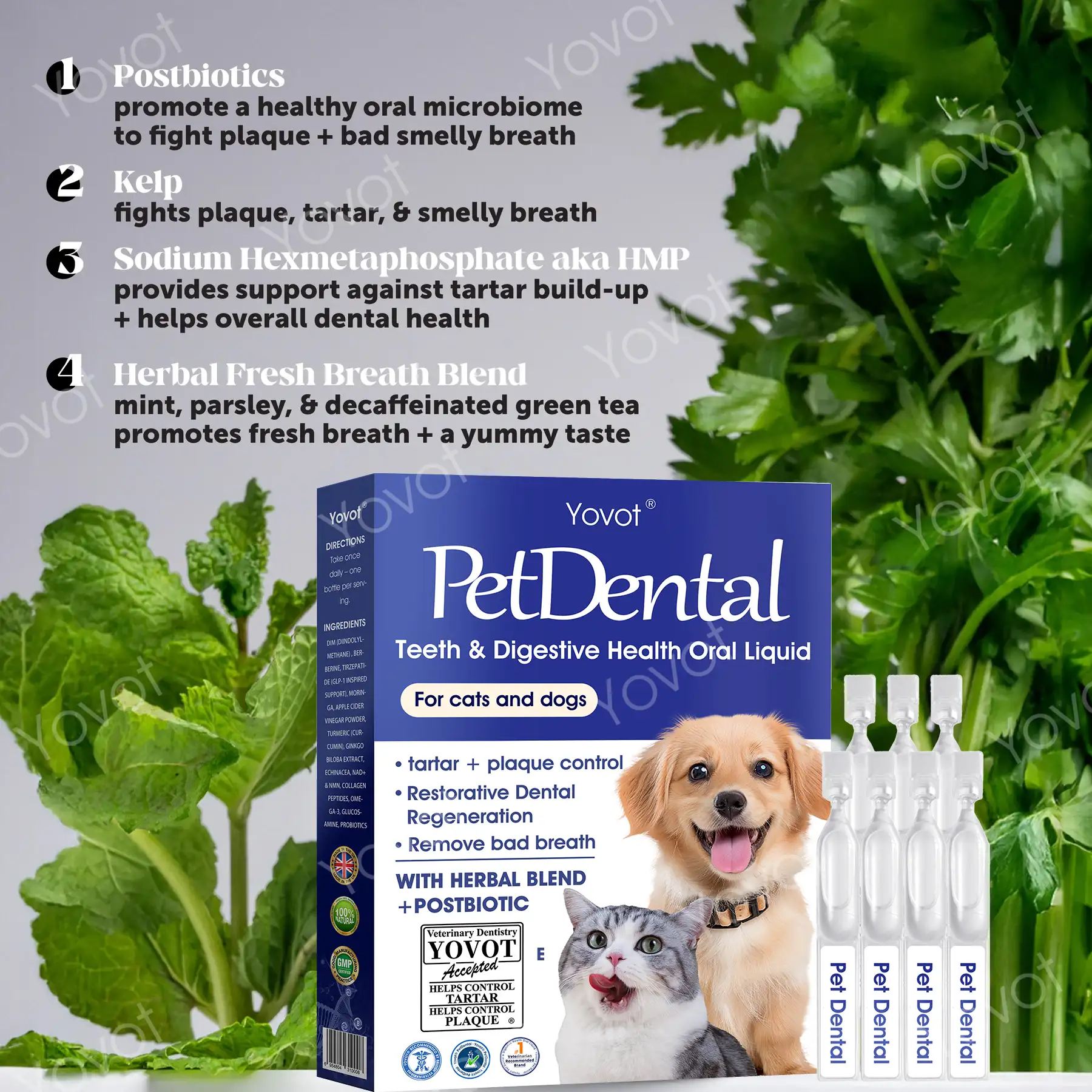 [Official Store]🇬🇧 Yovot® Pet Dental & Digestive Health Oral Liquid – Freshen Breath, Remove Tartar & Promote gum regeneration, stabilize teeth (for Cats & Dogs)  – Save 70% Today! - Image 3