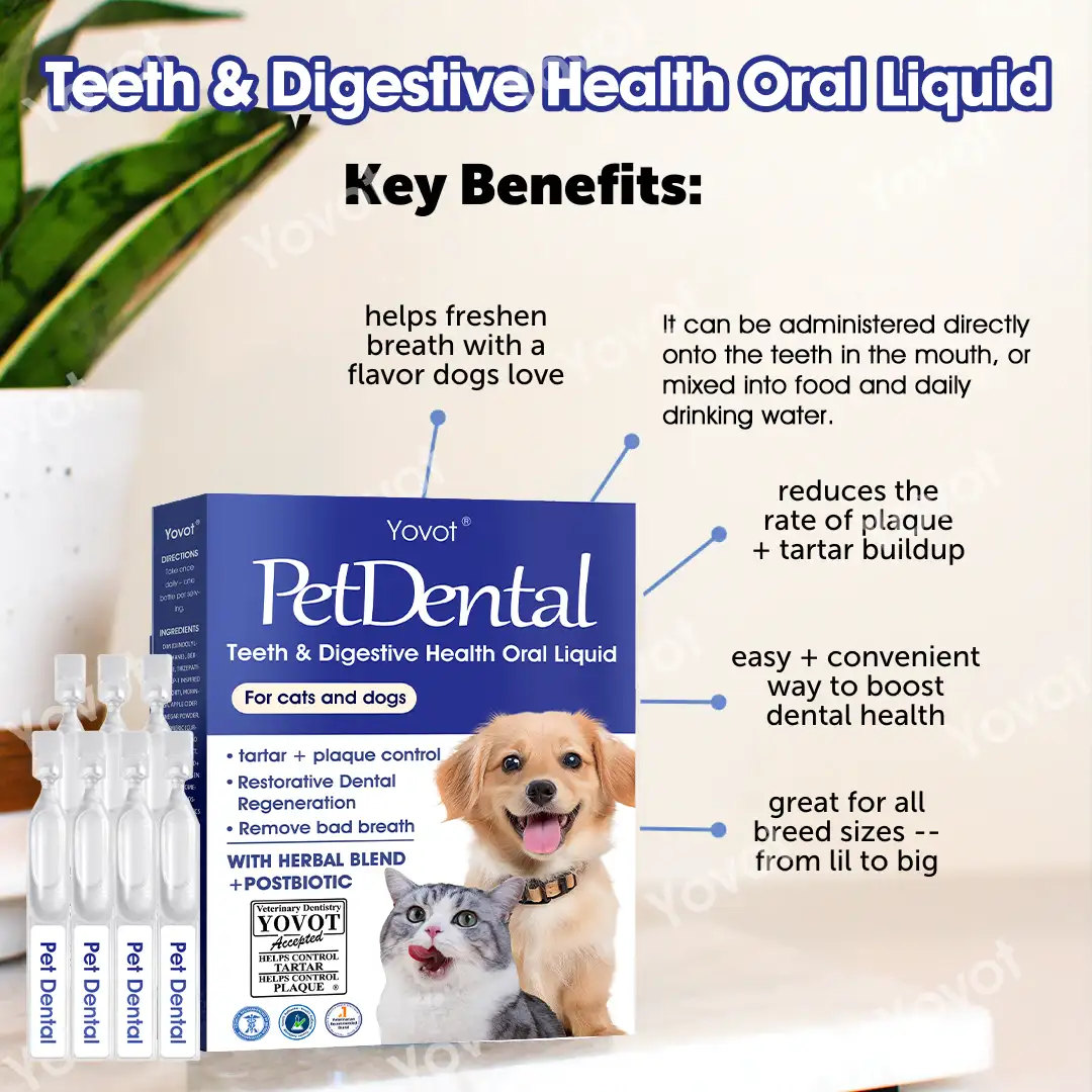 [Official Store]🇬🇧 Yovot® Pet Dental & Digestive Health Oral Liquid – Freshen Breath, Remove Tartar & Promote gum regeneration, stabilize teeth (for Cats & Dogs)  – Save 70% Today! - Image 5